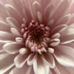 Meet your Posher, Wanda d.